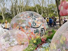 -上海共青森林公园