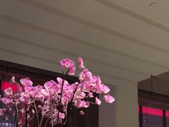 -北京柏悦酒店·锦庭餐厅Dining Room