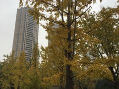 -重庆市江北嘴中央商务区中央公园