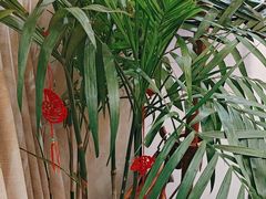 -东湖印象汉寿特色甲鱼钵子菜(渔人码头店)
