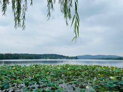 -一江春水·杭帮臻宴(三台山店)