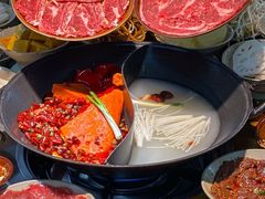 -阳阳老火锅(小南门店)