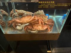 -璞御·海鲜·雪花牛肉局(宾水西道店)
