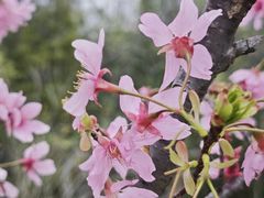 -艾溪湖湿地公园