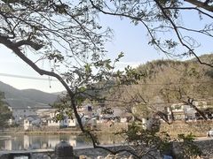 -鹿亭中村