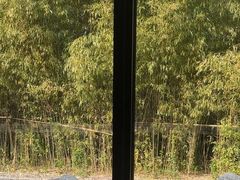 -西安凯悦酒店·湖畔中餐厅