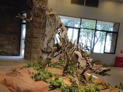 -自贡恐龙博物馆