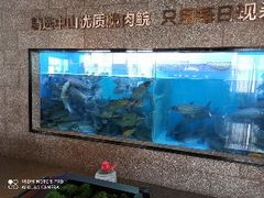 水产区-淘米捞·米汤脆鲩鱼火锅(福田皇岗店)