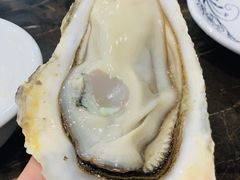 -蚝专家(北滘店)