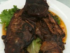 -兴芮温泉度假区