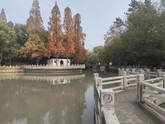 -汇龙潭