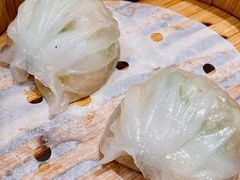 虾饺皇-凤凰楼酒家·粤宴点心(华强北店)