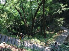 -严子陵钓台(富春江小三峡)