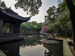 -兰亭风景区