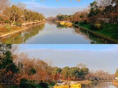 -上海海湾国家森林公园