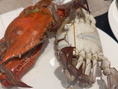 -东方红海鲜百汇(国际大厦店)