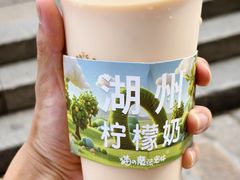 -猫的魔法密林(衣裳街店)