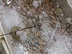 -拉威海鲜市场