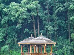 -高荡千年布依古寨旅游景区