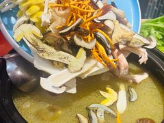 -菌之家·专业纯野生菌火锅·特色炒菌