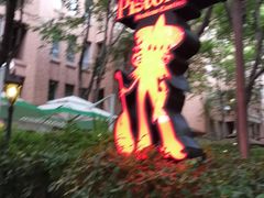 -Pistolera Mexican Cantina女枪手墨西哥餐厅(碧云路店)