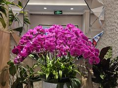 -鹿港小镇(黄金店)