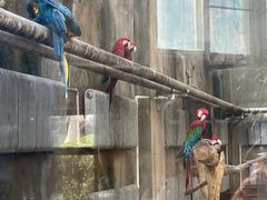 -大连森林动物园