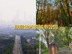 -火炉山森林公园