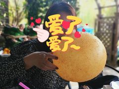 -吴越荣记苏州菜·松鼠桂鱼100%活鱼现做(斜塘老街店)