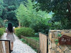 -远山有窑