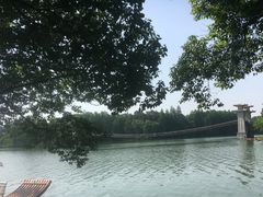 -东湖落雁景区