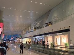 -广州白云国际机场-T2航站楼