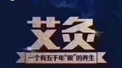 -玛莲朵·海菲秀冰珀科
