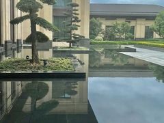 -金沙湖旅游度假区