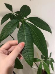 点击看大图 -JNK皮肤管理中心