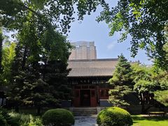 -碑林公园