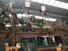 -南宫五洲植物乐园