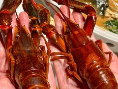 -新光酒家·河豚·海鲜·蟹料理(浦东店)