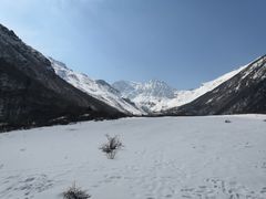 -黄龙山原始森林景区