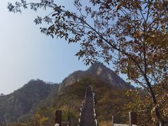 -大岭沟猕猴桃谷风景区