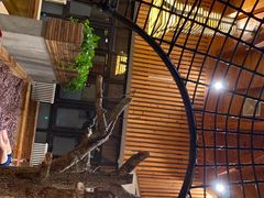 -汉拿山温泉度假酒店
