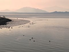 -深圳湾公园(南山区)