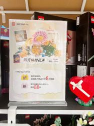 -LEGO(国贸商城店)