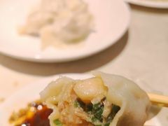 韭菜肉-枫林饺子