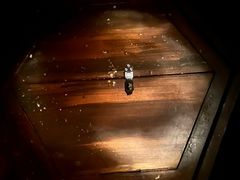 -E+有冰工厂·昆仑寒宫2(五角场店)