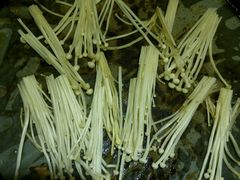 -韩小悦牛排烤肉无限续(遂宁万达店)
