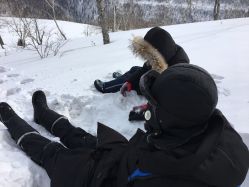 -大秃顶子山