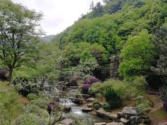 -桃花岭景区
