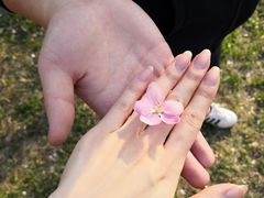 -长白岛森林公园