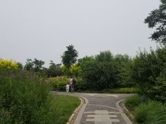 -东疆建设开发纪念公园
